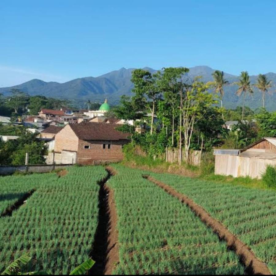 Family Villa Syariah C-37 Batu バトゥ エクステリア 写真